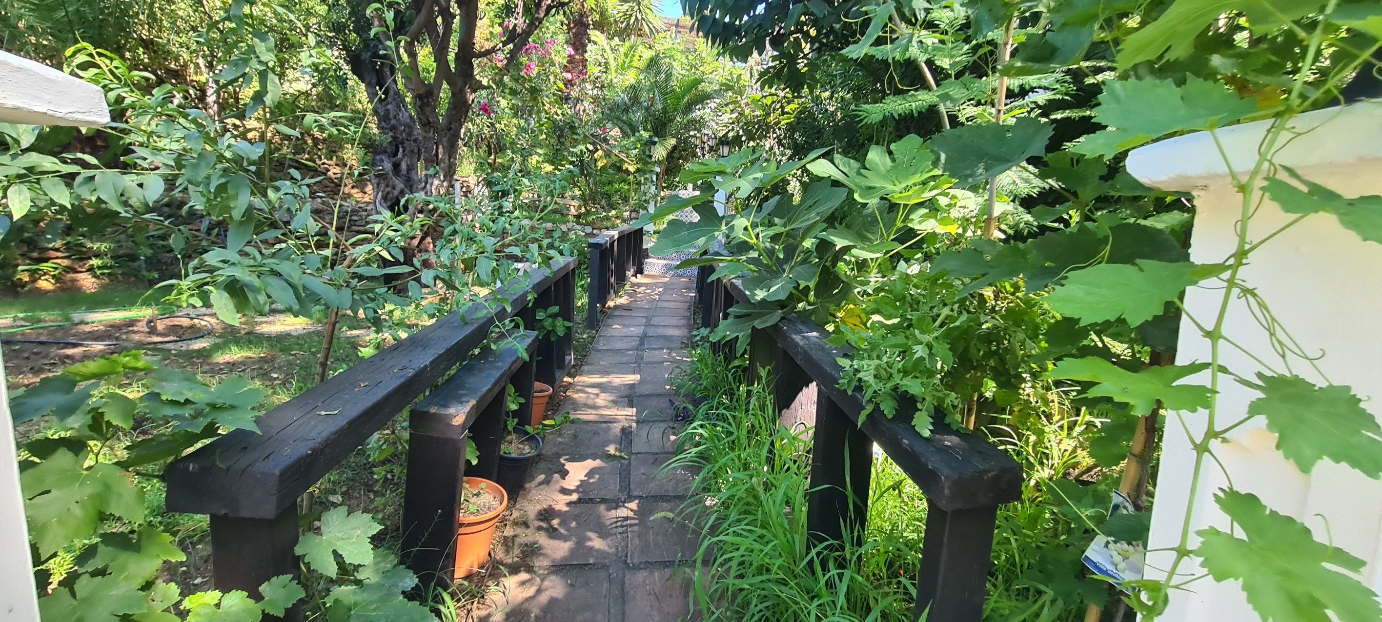 local comercial en venta en Mijas - Fuengirola (29640)