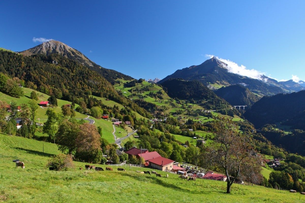 commerce en vente sur Les Mosses (1862)