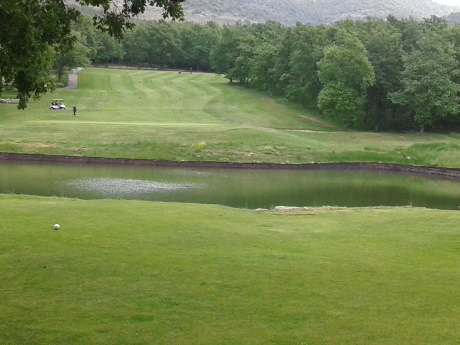 commercial local 161 Rooms for sale on CANNES (06400)