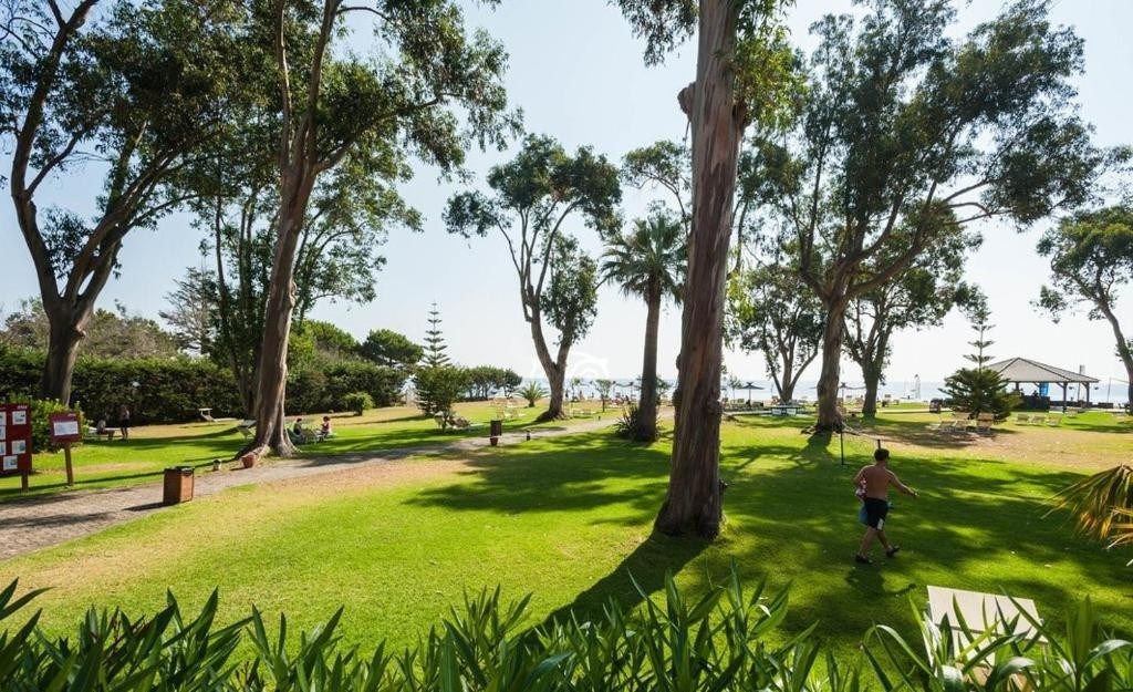 commerce en vente sur SAN NICOLAO (20230)