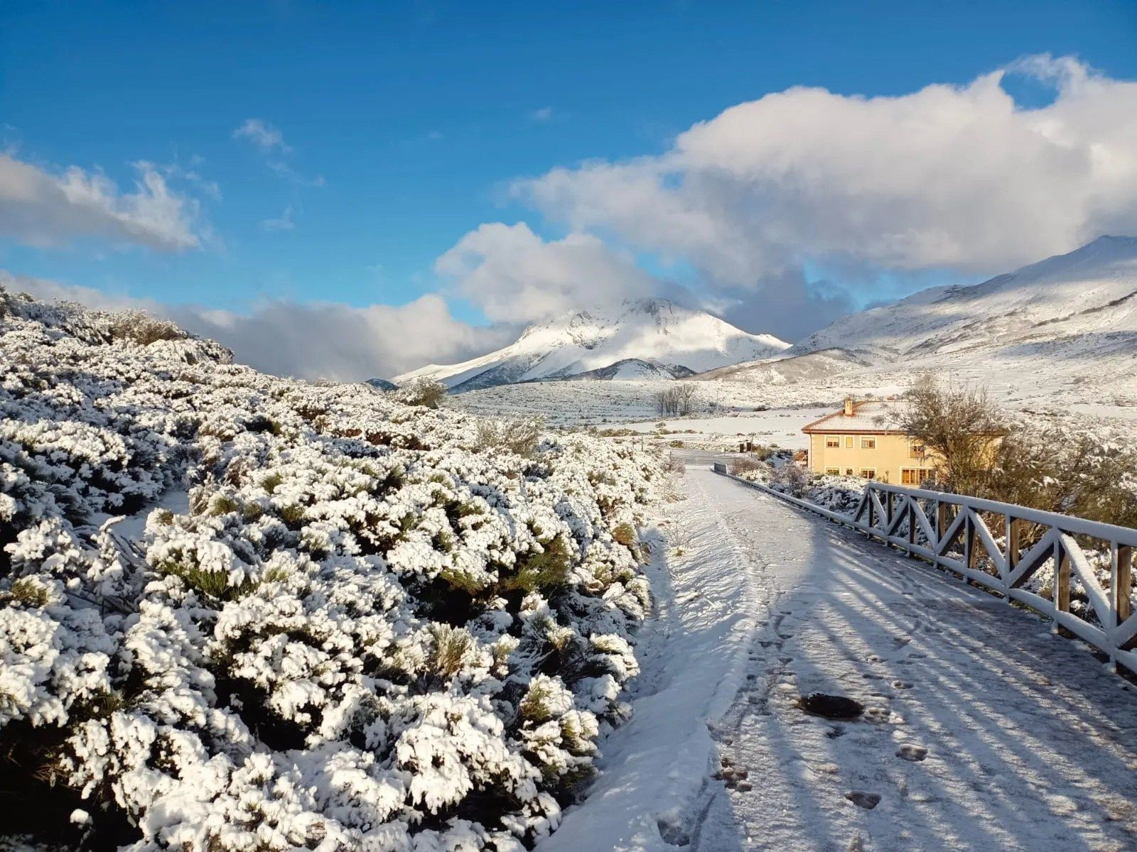 commerce en vente sur Alba de los Cardaños (34888)