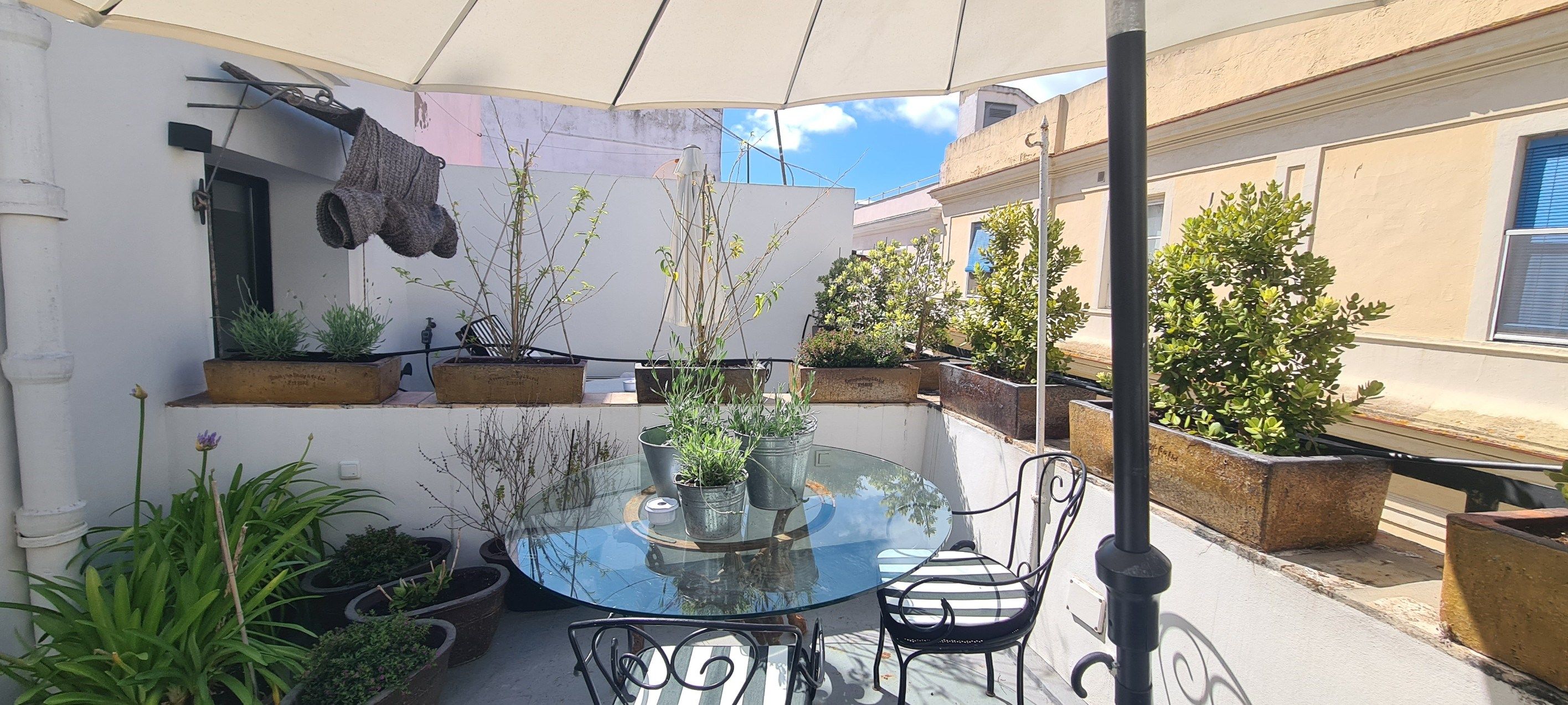 commercial local for sale on Cadiz (11001)