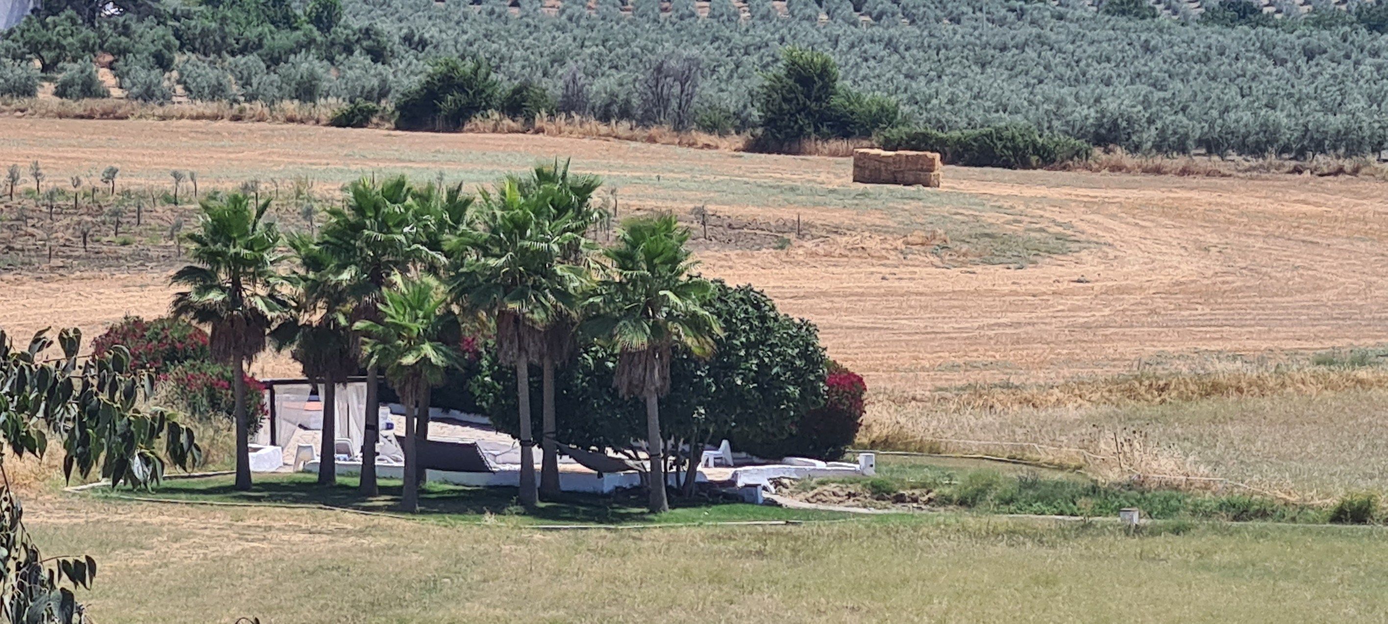 commerce en vente sur Ronda (29400)