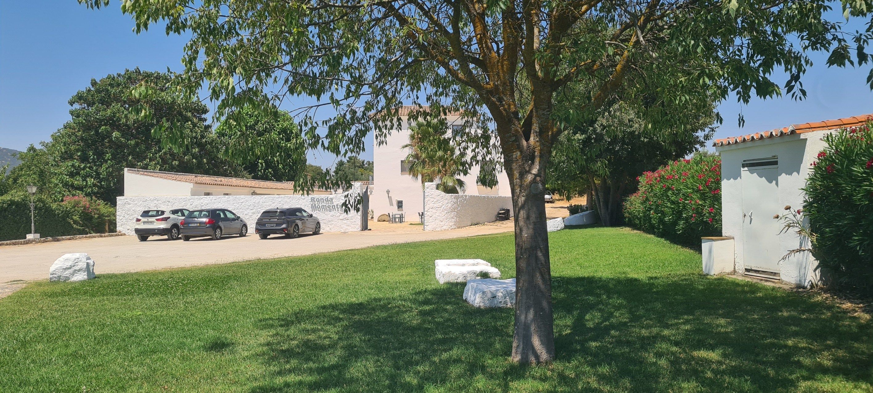 commerce en vente sur Ronda (29400)