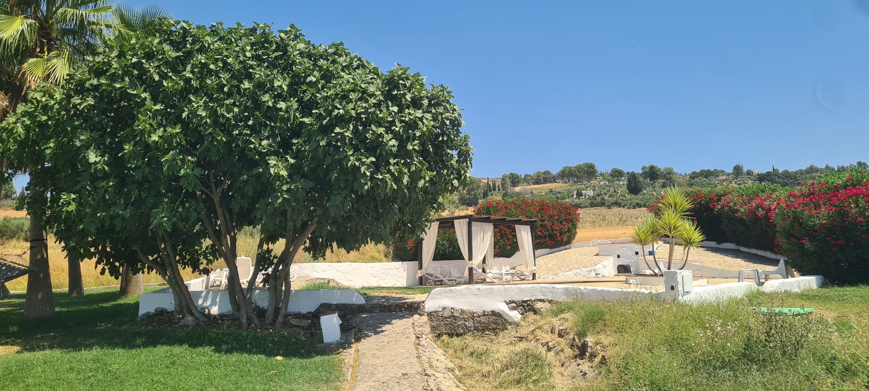 commerce en vente sur Ronda (29400)