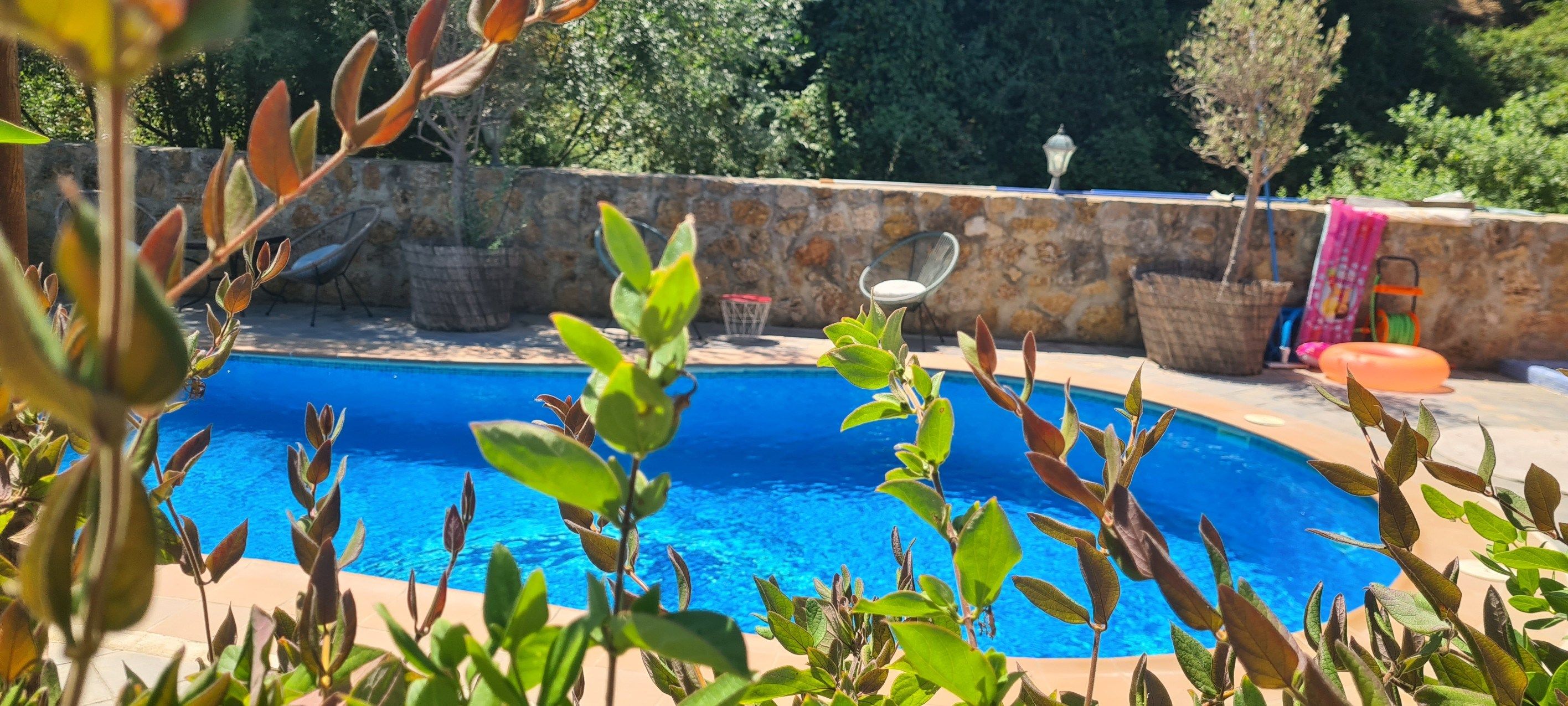 commerce en vente sur Ronda (29400)