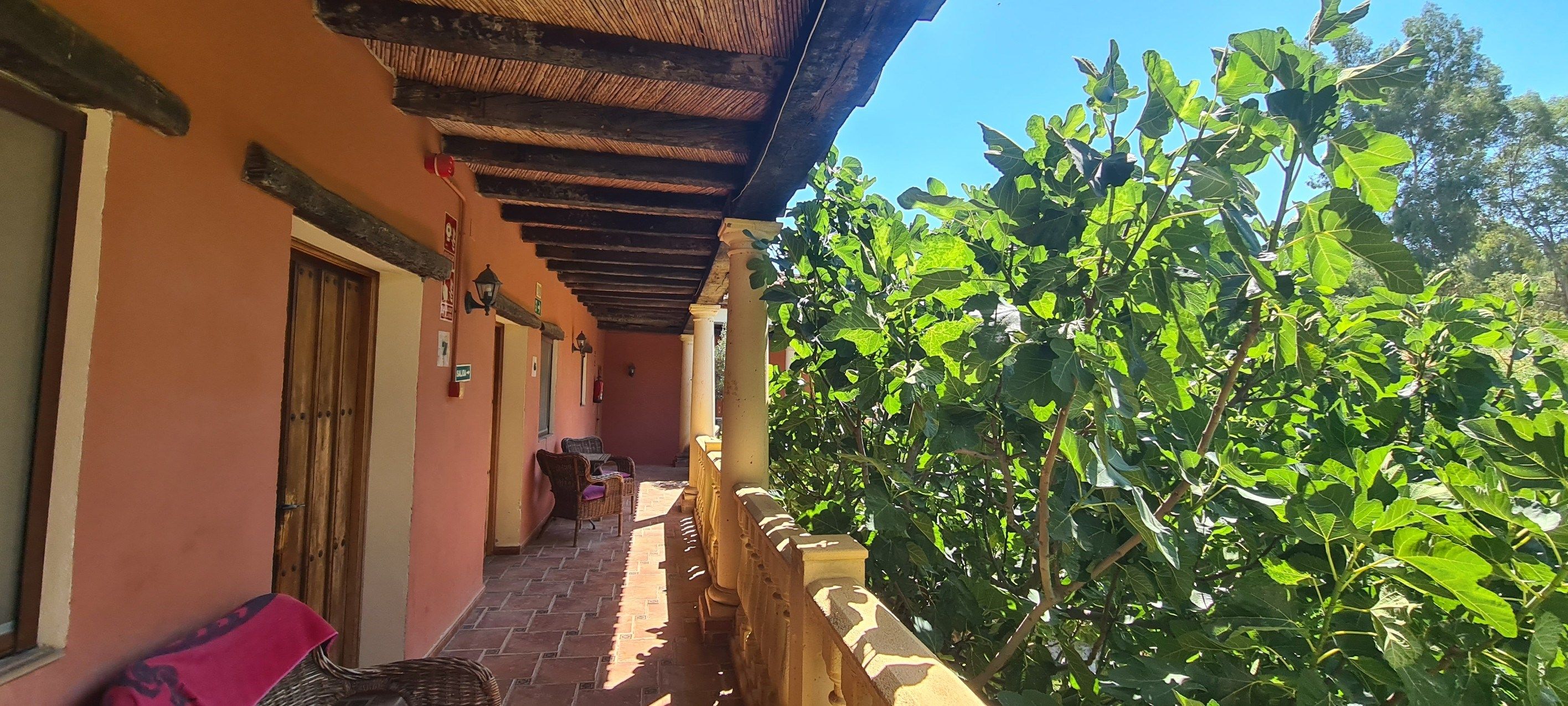 commerce en vente sur Ronda (29400)