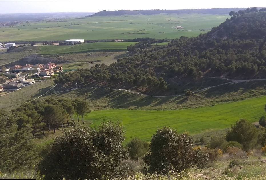 commercial local for sale on Valladolid (47001)