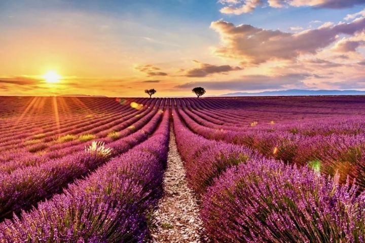 Boutique Hotel & SPA