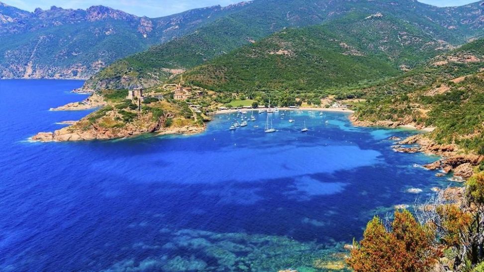 commerce en vente sur SERRIERA (20147)